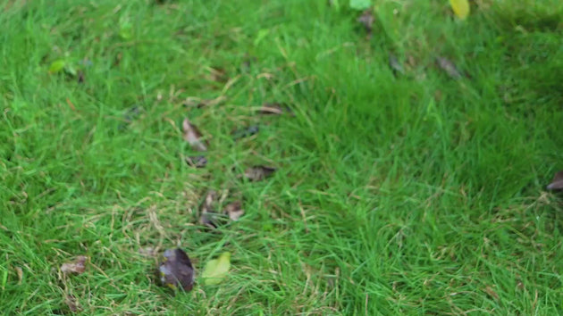 Poclink in the only brand that supports both face-to-face grouping via Bluetooth and remote grouping via App.